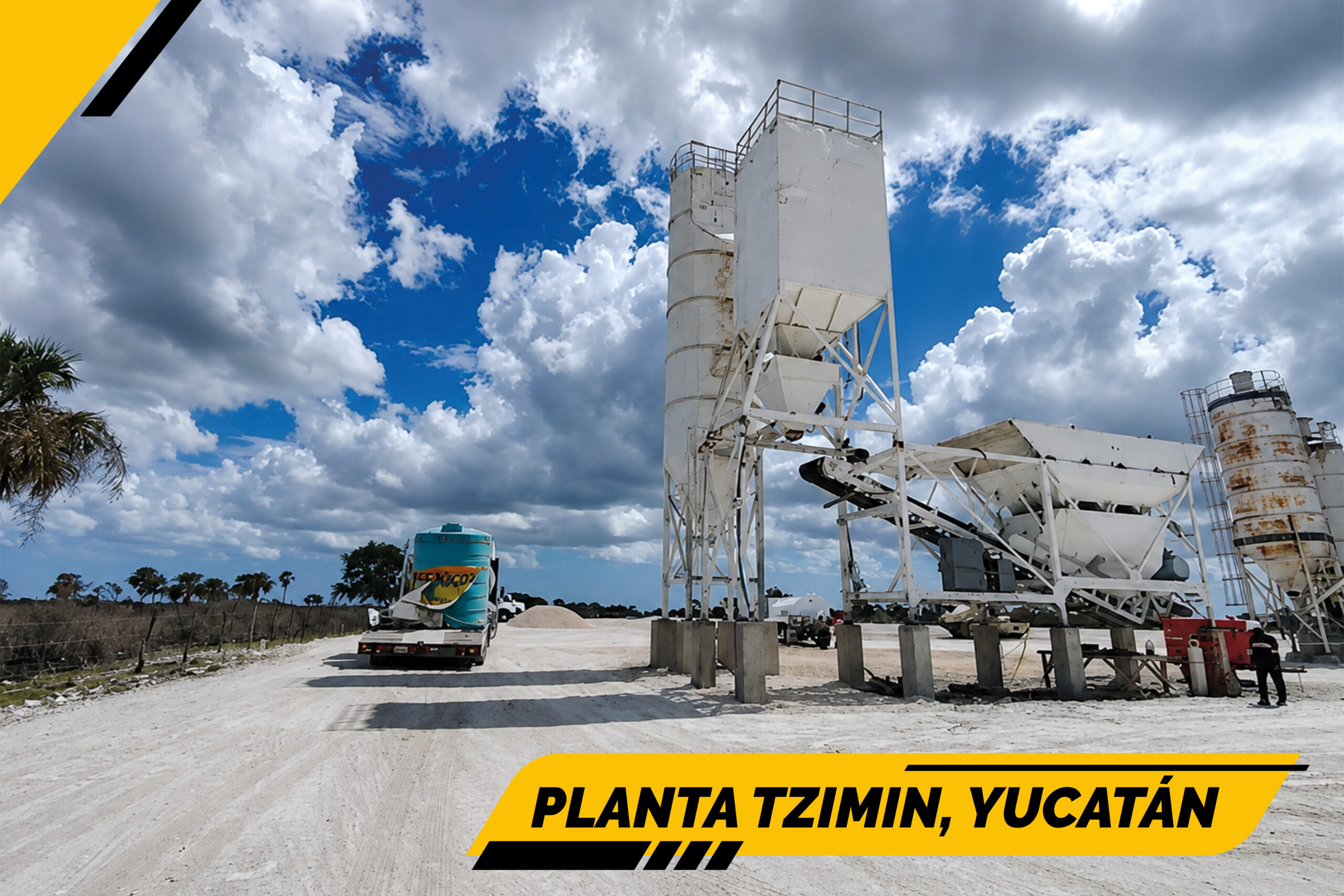 Planta6 90x60